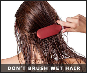 Do Not Brush Wet Hair Do Not Brush Wet Hair